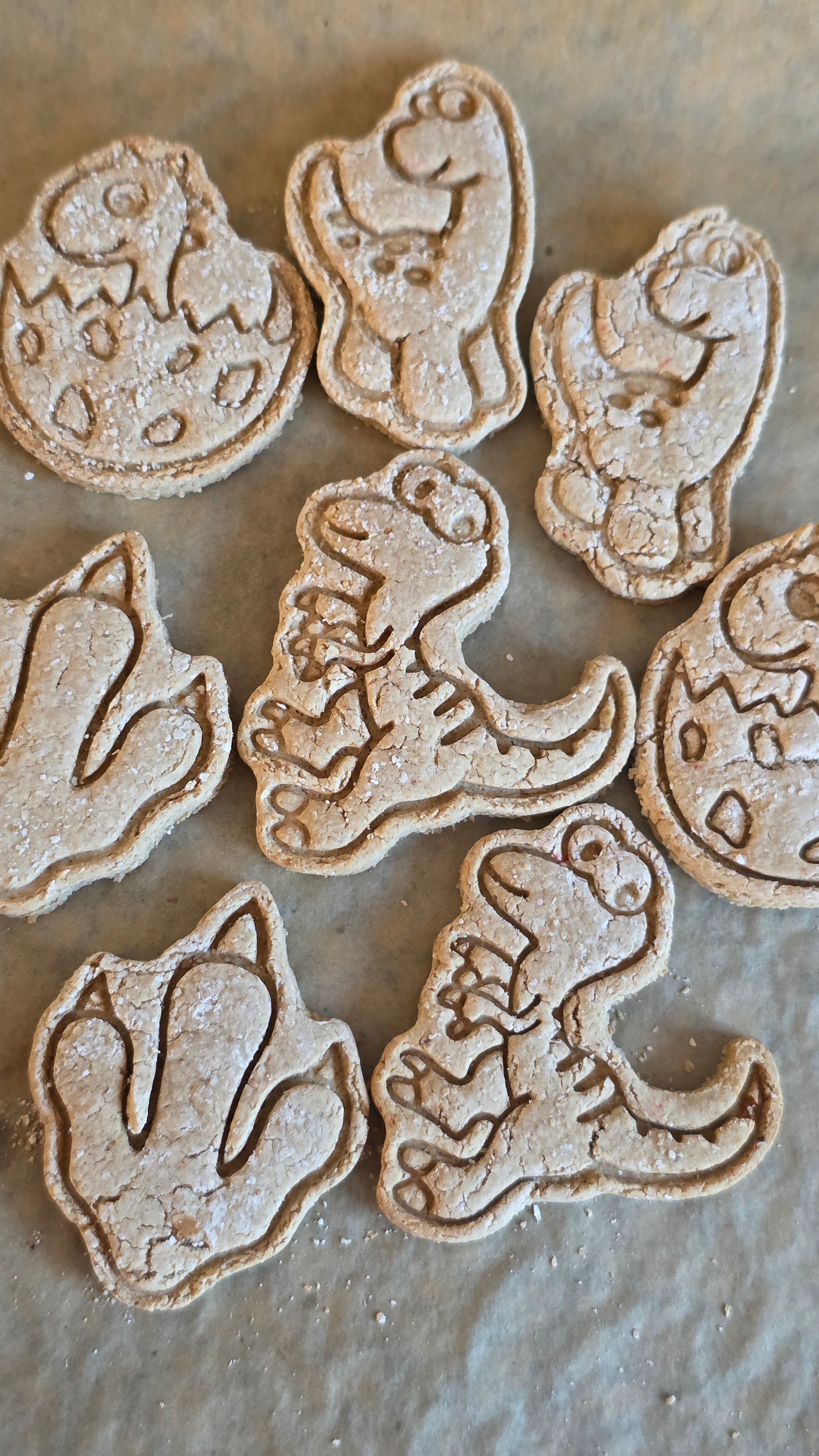 Dino dog biscuits