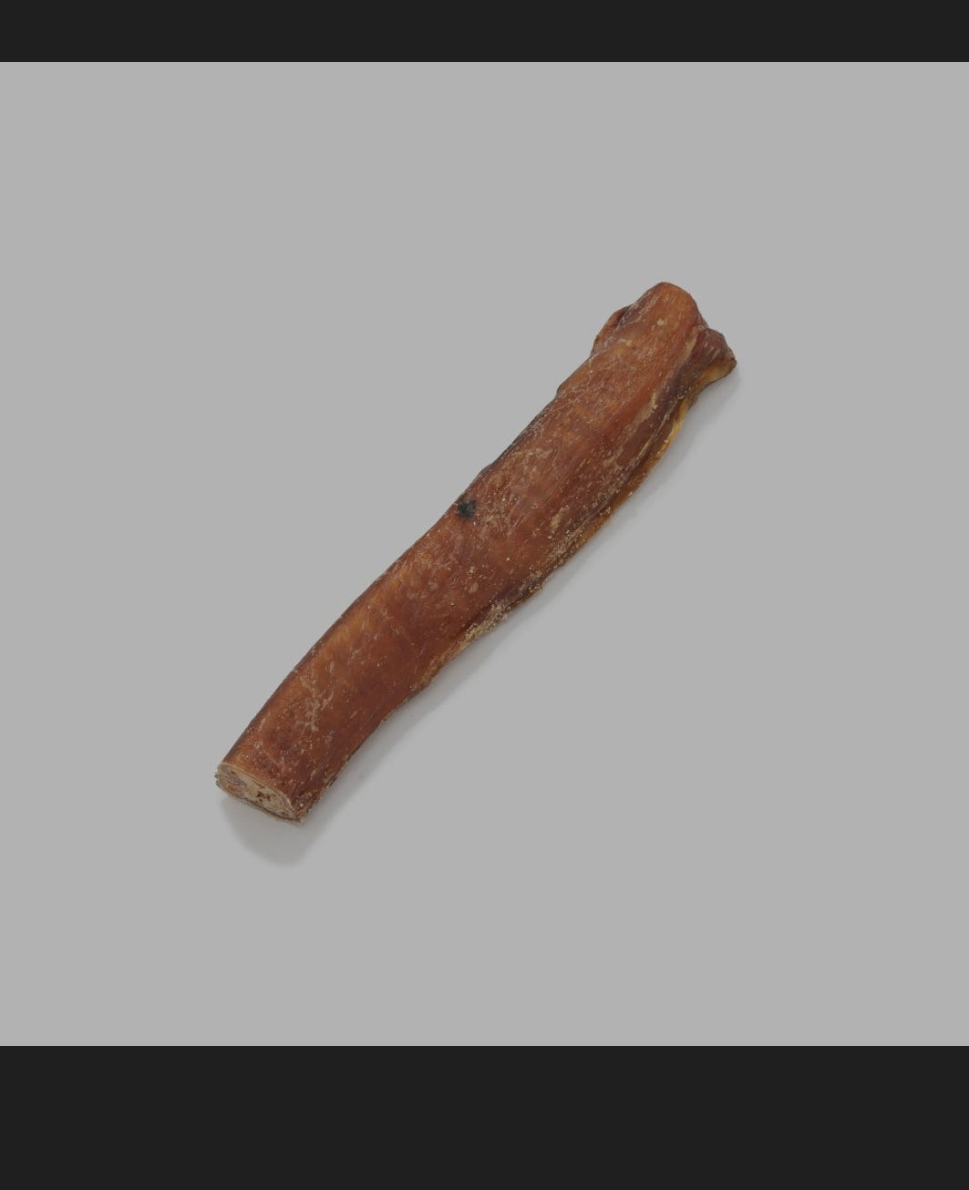 British pizzle 12cm