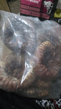 Beef Trachea rings