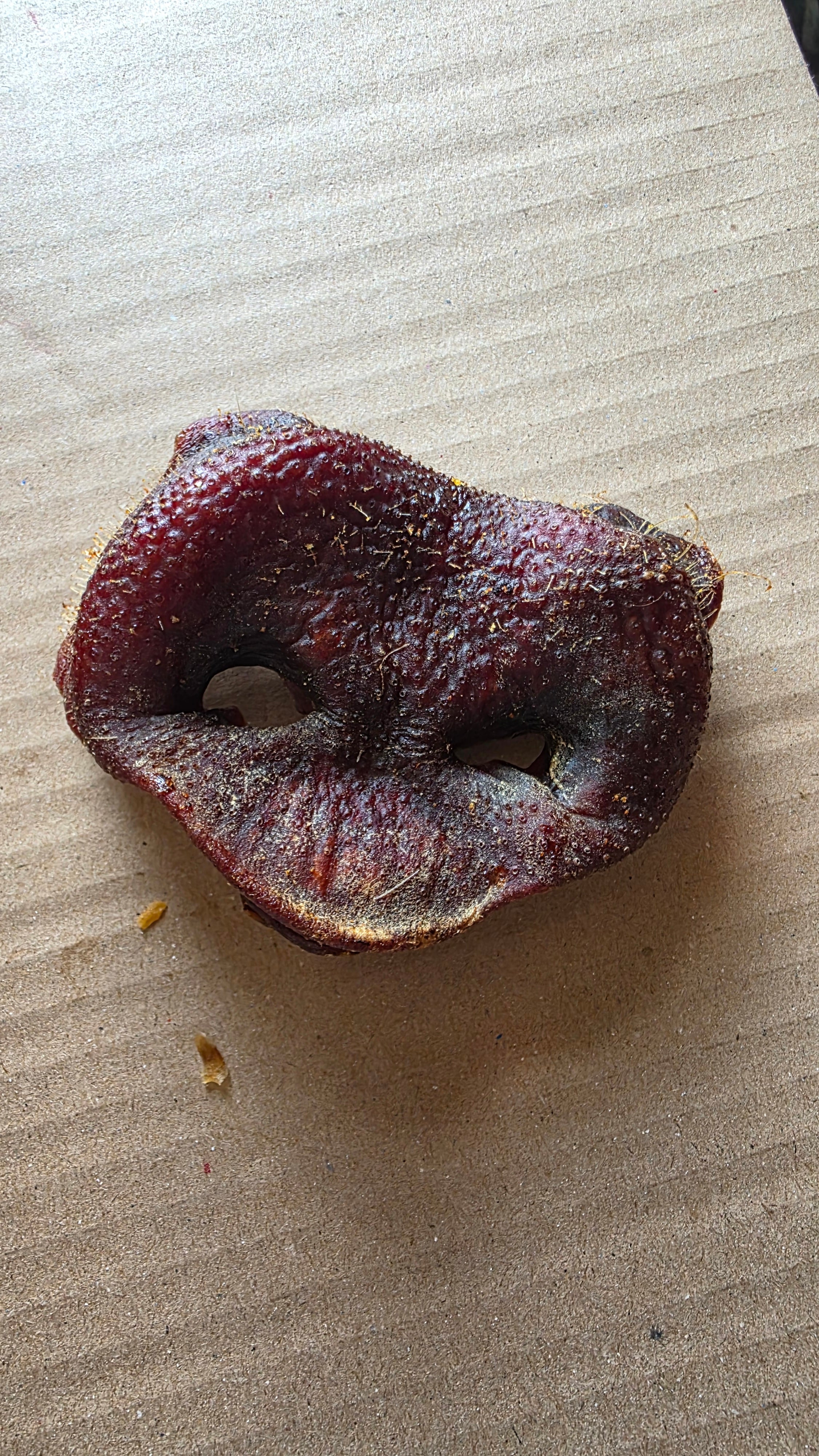 Pig snout