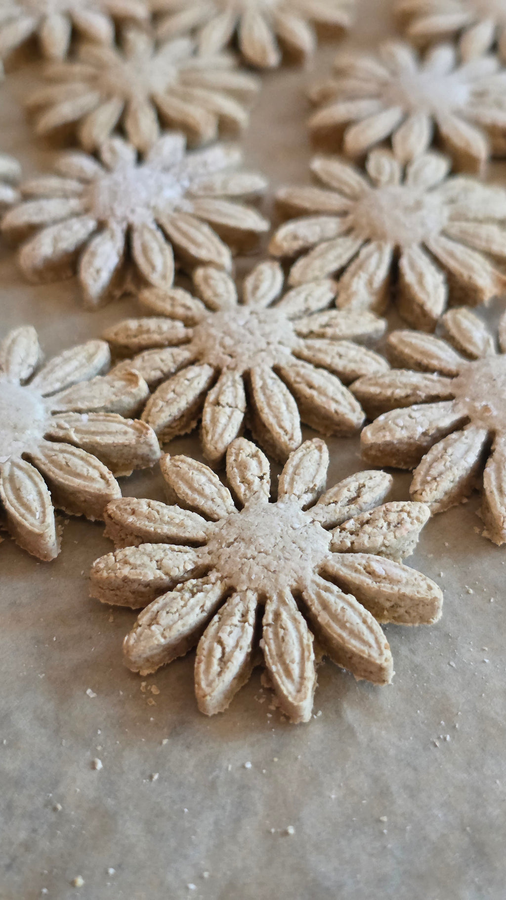 Flower dog biscuits