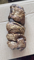 Buffalo Trachea Wrapped in Lung