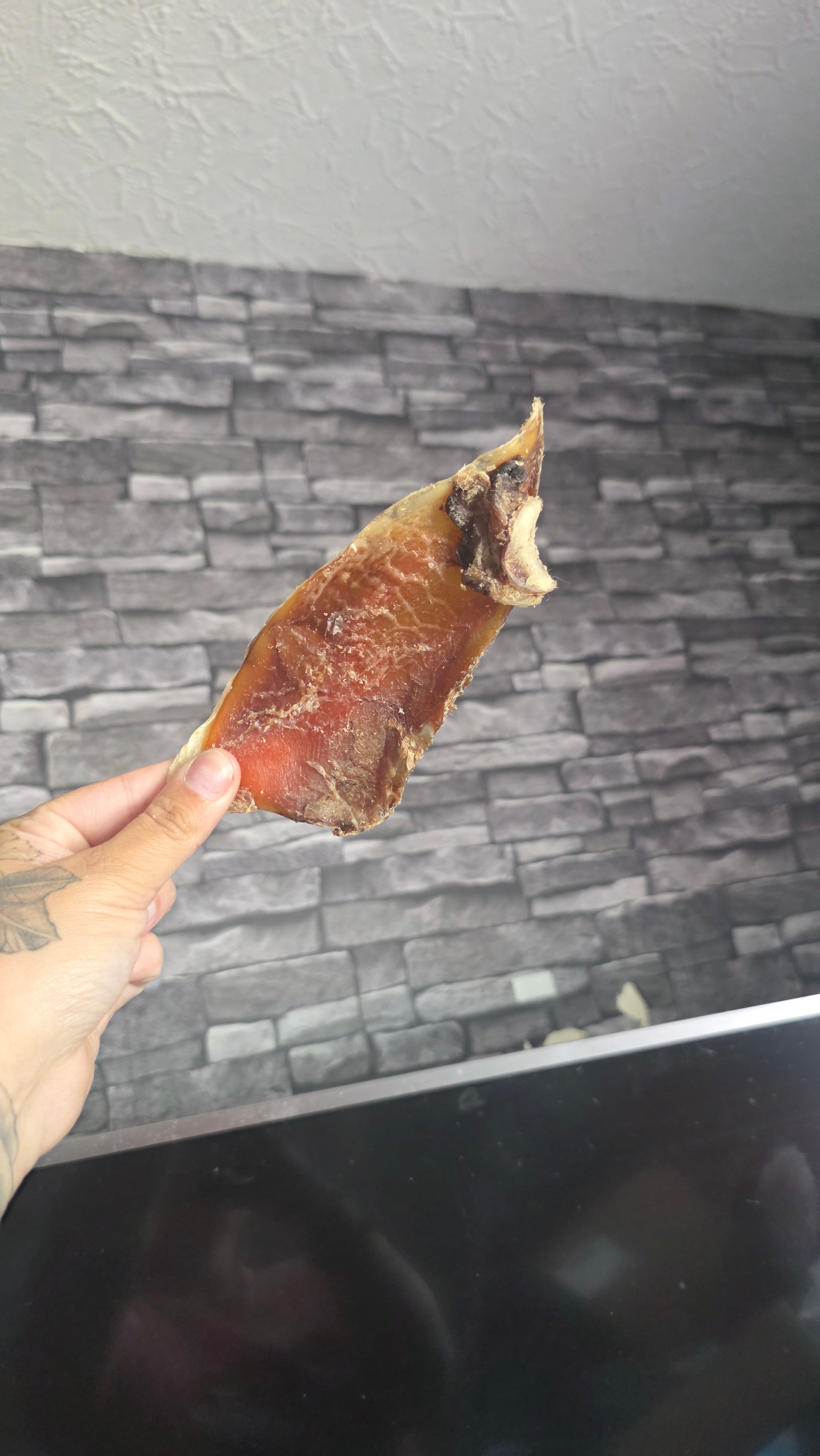 Small moon bone (no bone)