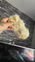 Rabbit skins