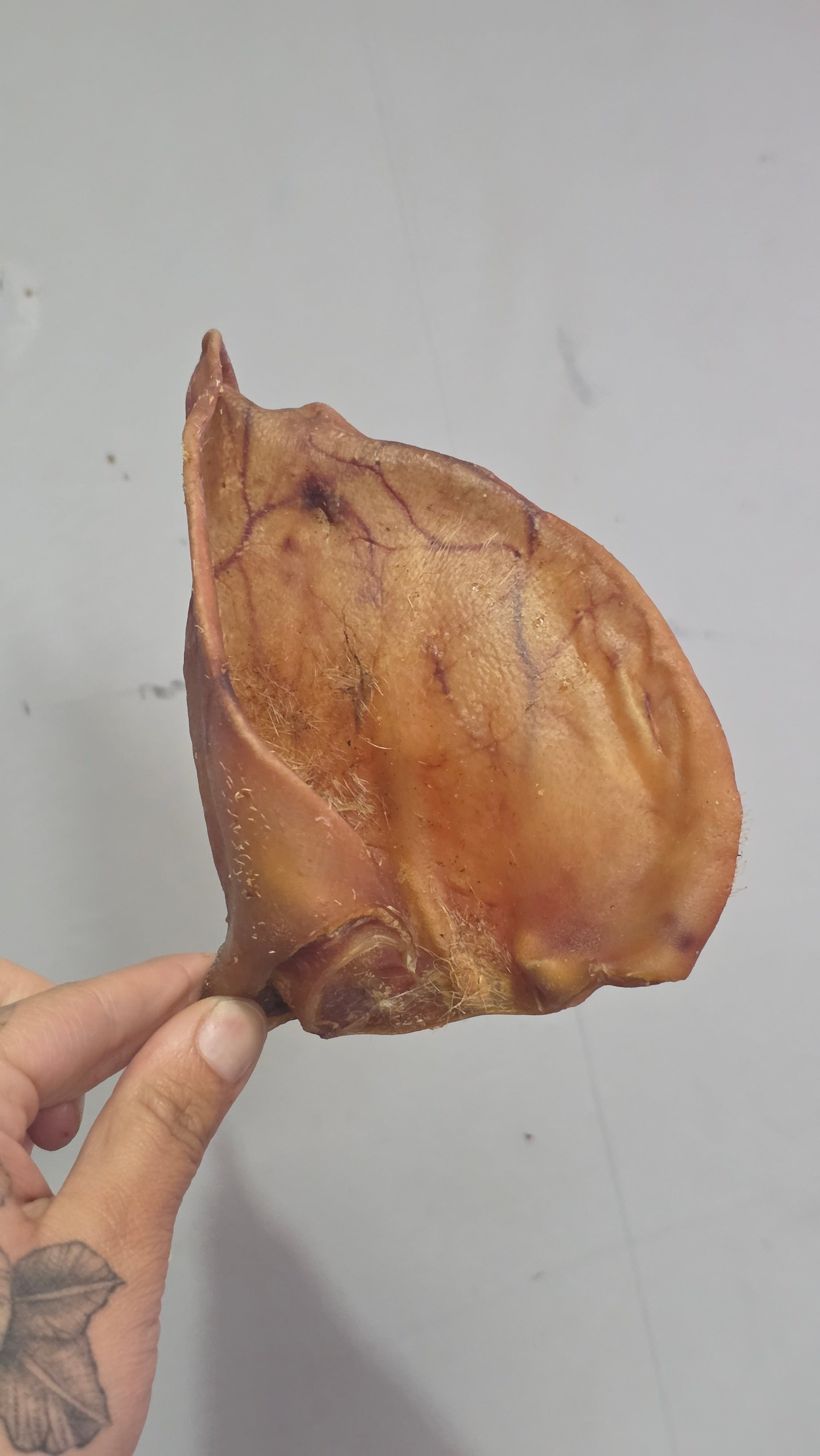 Pig ears