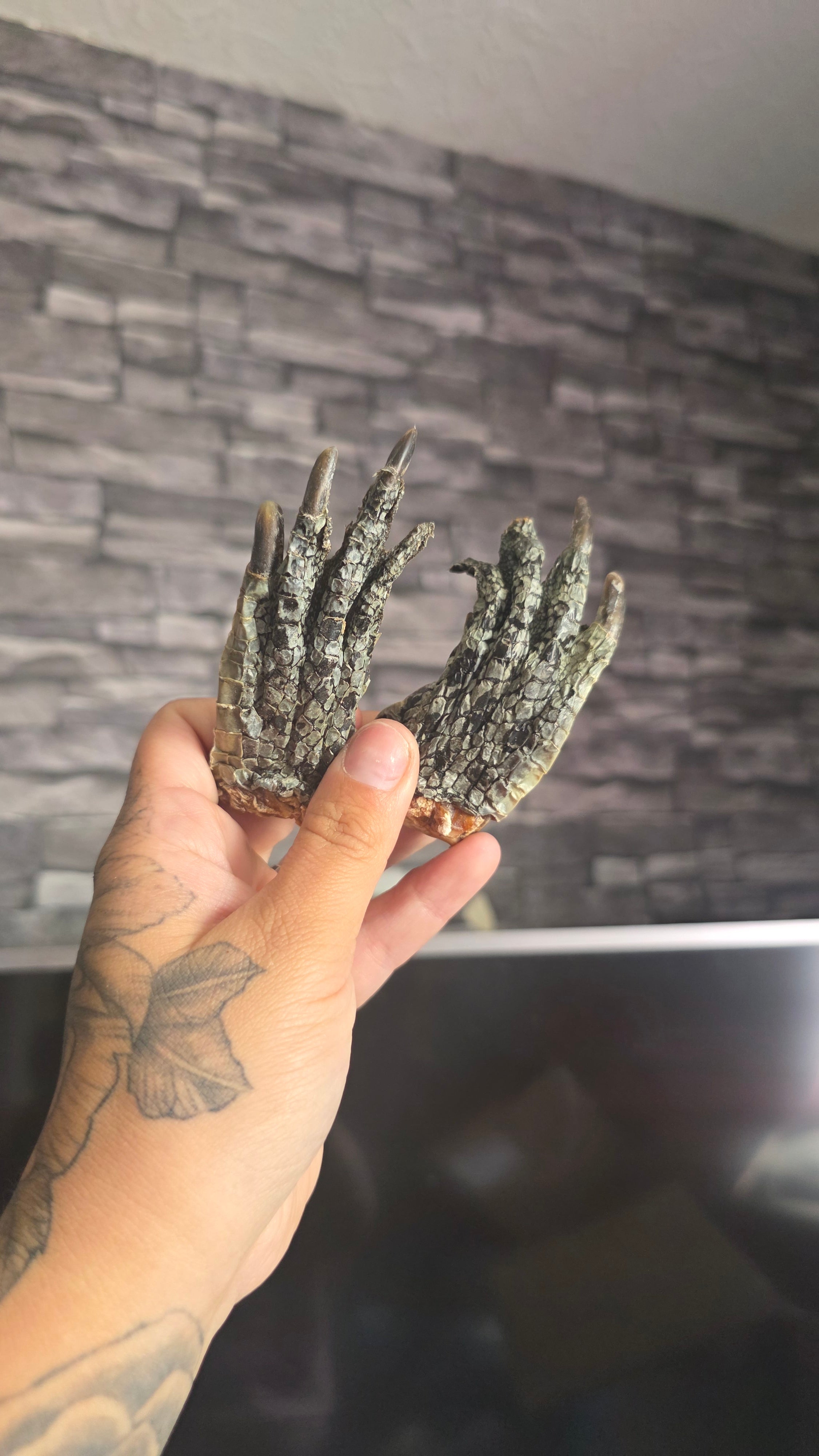 Crocodile feet ( pack of 2)