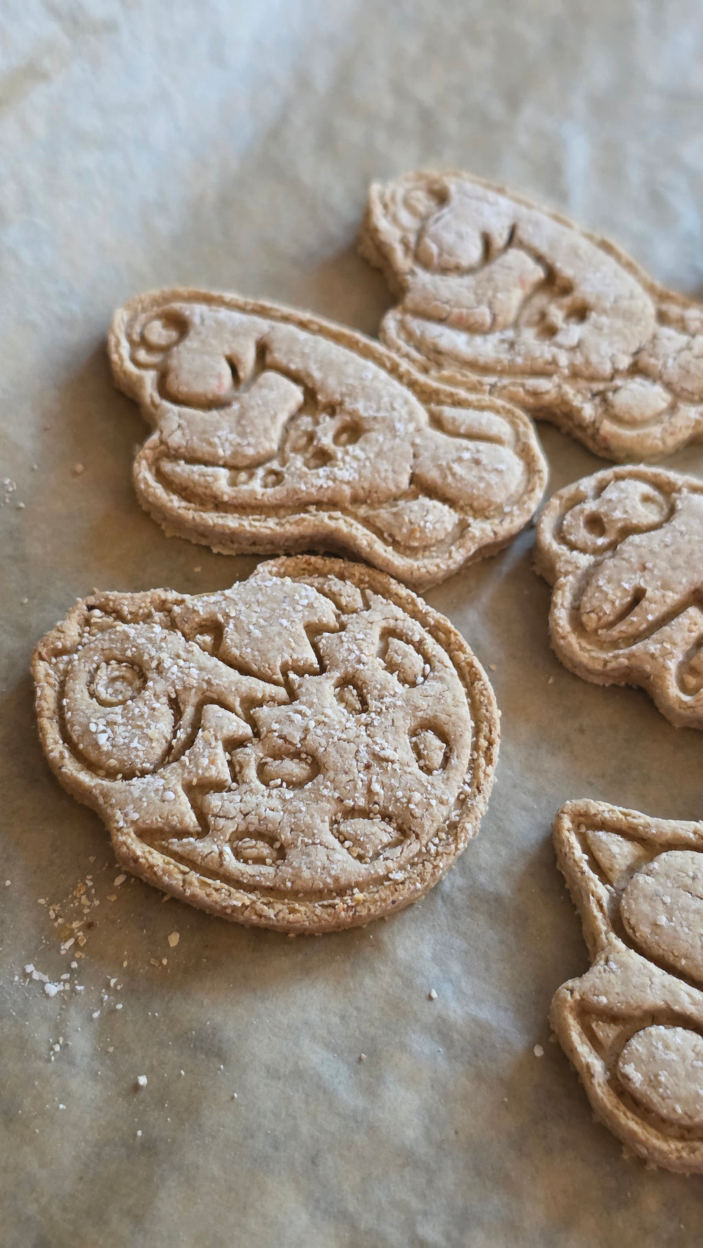 Dino dog biscuits
