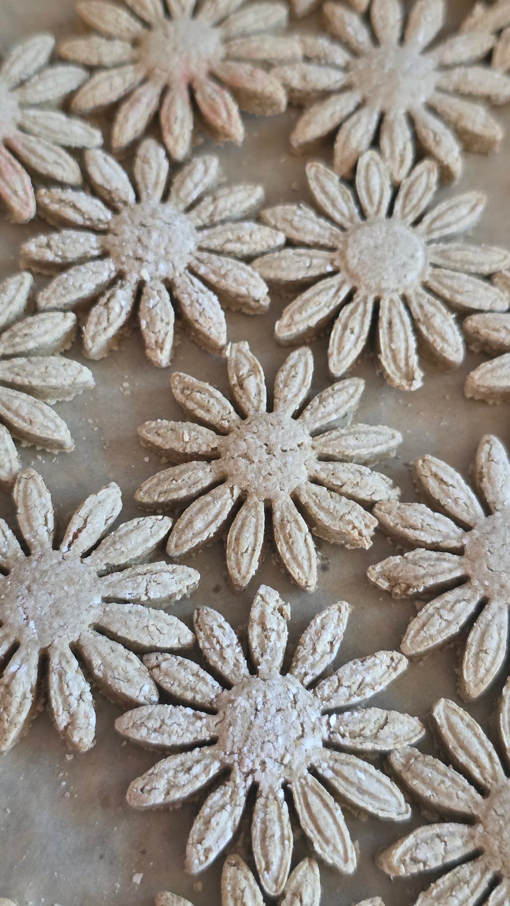 Flower dog biscuits